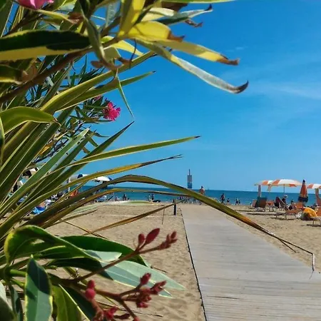 Carla E Caterina Vila